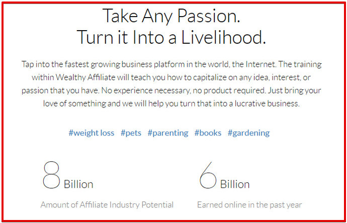 What Is Affiliate Marketing And How To Get Started - Take Any Passion And Turn It Into A Livelihood On The Internet, The Fastest Growing Business Platform In The World. More Niche Examples Shown Are Pets, Parenting, Books And Gardening